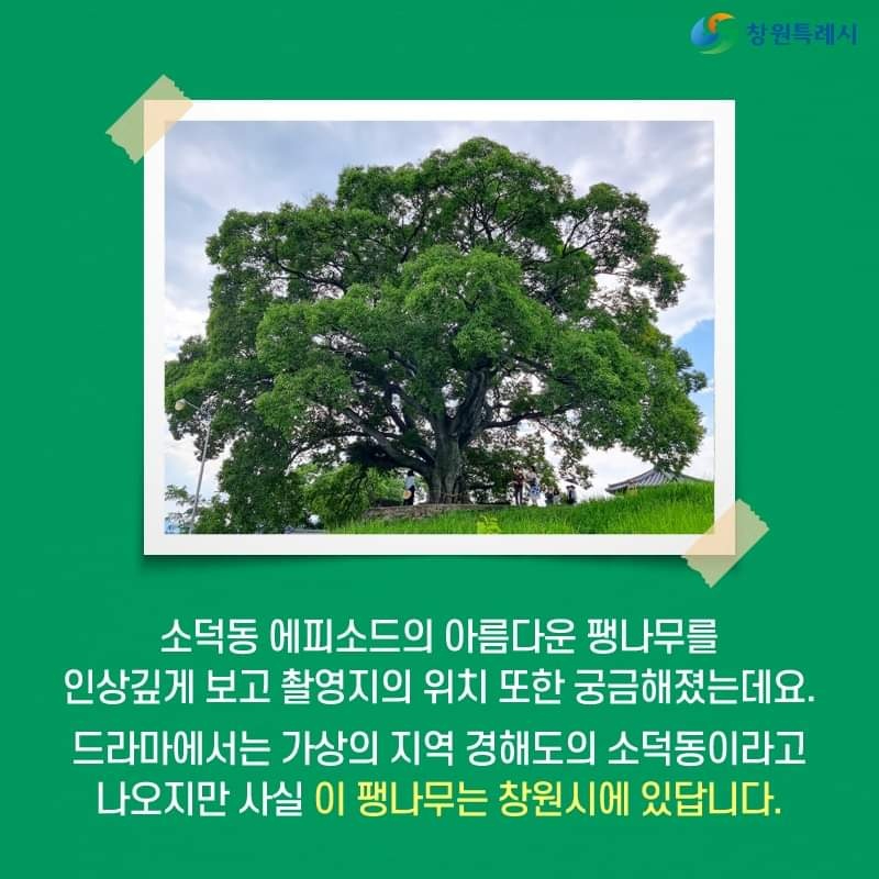 KakaoTalk_20220725_120821472_03.jpg